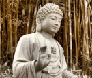 Dzogchen Meditation and Chinese Buddhism